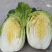精品黄心大白菜3一6斤，个大均匀，颜色鲜嫩，质量保证
