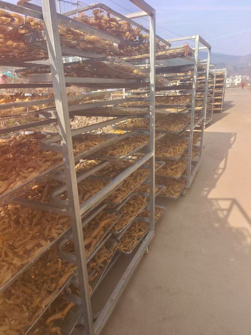 多花倒苗黄精干货，产品优质，量大从优，诚信经营，欢迎致电