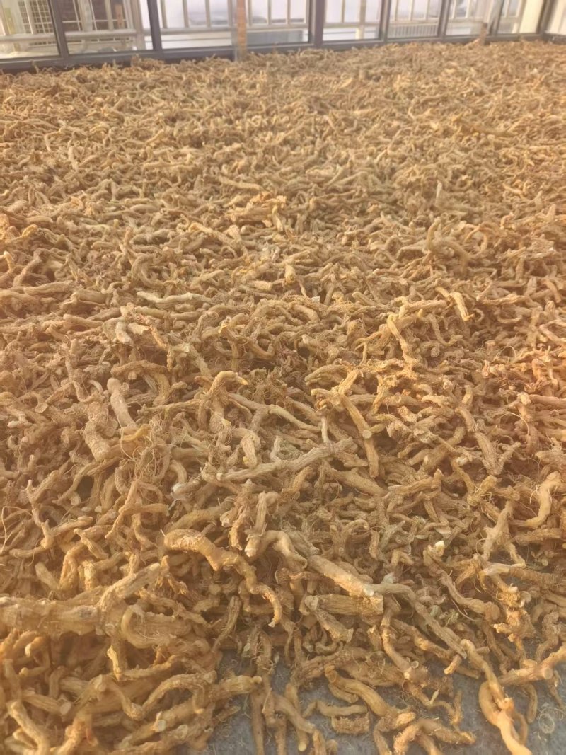 多花倒苗黄精干货，产品优质，量大从优，诚信经营，欢迎致电