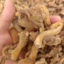 多花倒苗黄精干货，产品优质，量大从优，诚信经营，欢迎致电