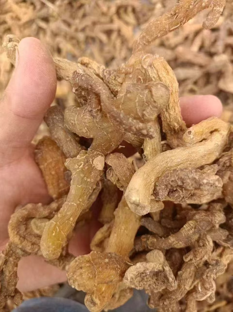 多花倒苗黄精干货，产品优质，量大从优，诚信经营，欢迎致电