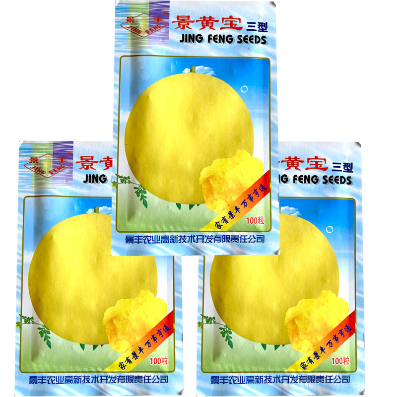 景黄宝三型礼品西瓜籽黄皮黄壤糖度高高产抗病