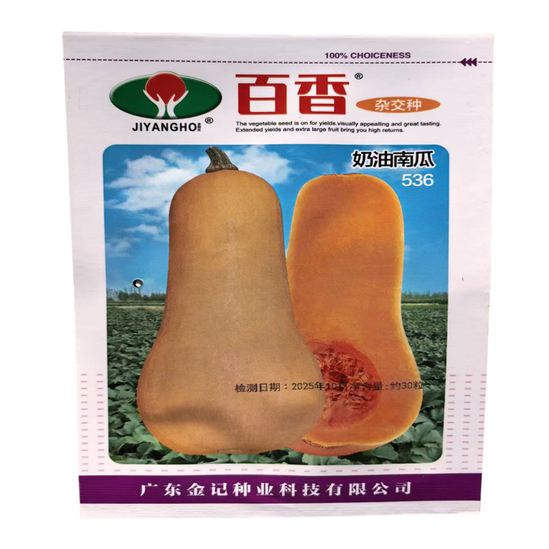 奶油南瓜种子百香早熟高产果肉细腻糖分高小南瓜种子