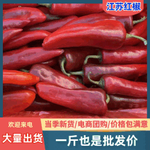【红辣椒】江苏红椒/红青椒/社区团购电商批发对接全网