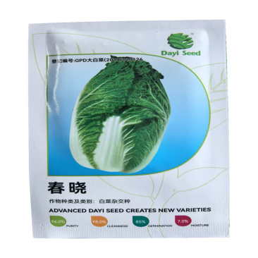 春晓春白菜种子炮弹型耐低温耐抽苔黄心大白菜种子