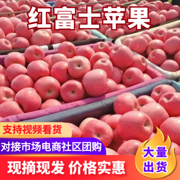 山东烟台苹果，红富士苹果，全年可发货