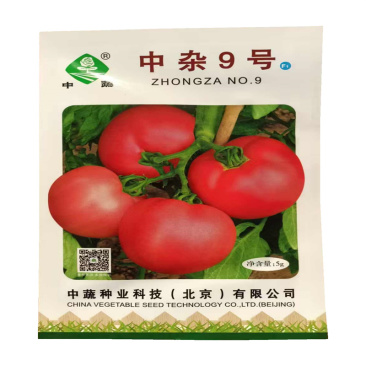 中杂9号番茄种子粉红果中蔬高产基地西红柿种子新种子