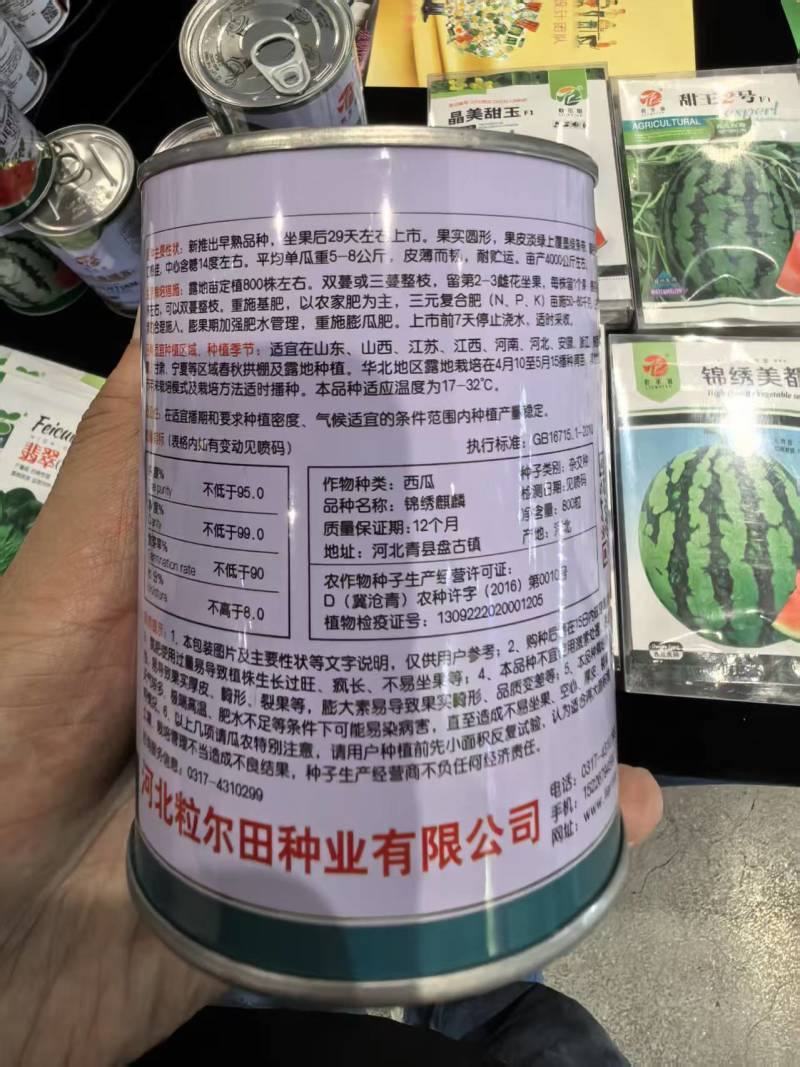 锦绣麒麟西瓜种子800粒春秋小拱棚露地种植基地用种