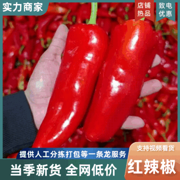红椒红辣椒菜椒江苏红辣椒供应食堂饭店餐饮商超批发