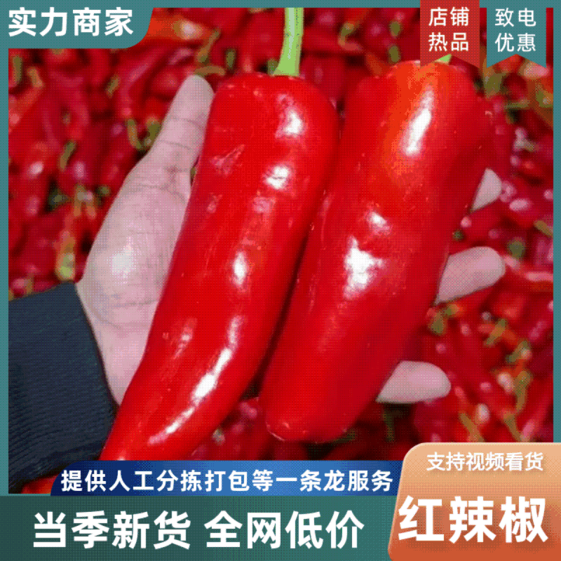 江苏红椒精品红辣椒大量供应代发全国，欢迎来电合作