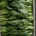【上海青】山东精品小油菜大量供应可对接商超，食品厂。脱水