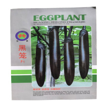 黑笼长茄种子早熟抗病长棒茄烧烤茄子种子杂交长茄种子