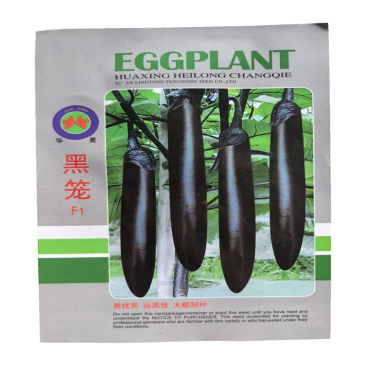 黑笼长茄种子早熟抗病长棒茄烧烤茄子种子杂交长茄种子