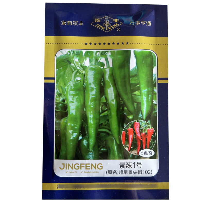 景辣1号早景尖椒102辣妹子干鲜两用小辣椒5克基地型