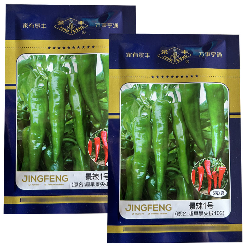 景辣1号早景尖椒102辣妹子干鲜两用小辣椒5克基地型