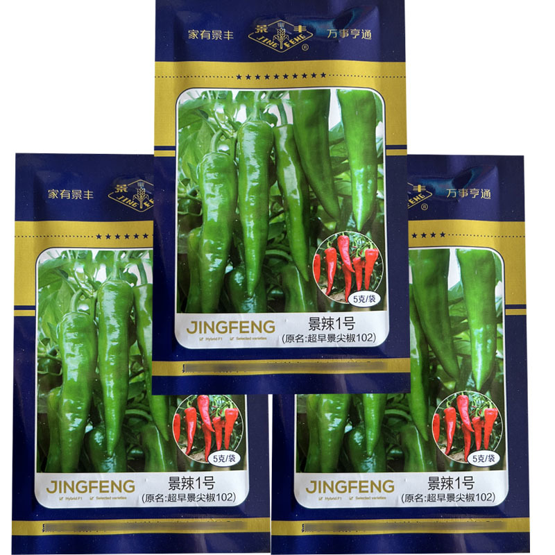 景辣1号早景尖椒102辣妹子干鲜两用小辣椒5克基地型