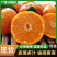 精品砂糖橘大量批发代办/广西正宗沙糖桔质量保证物美价廉