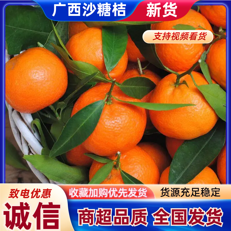 精品砂糖橘广西正宗砂糖橘现摘现发/对接全国各地电商市场