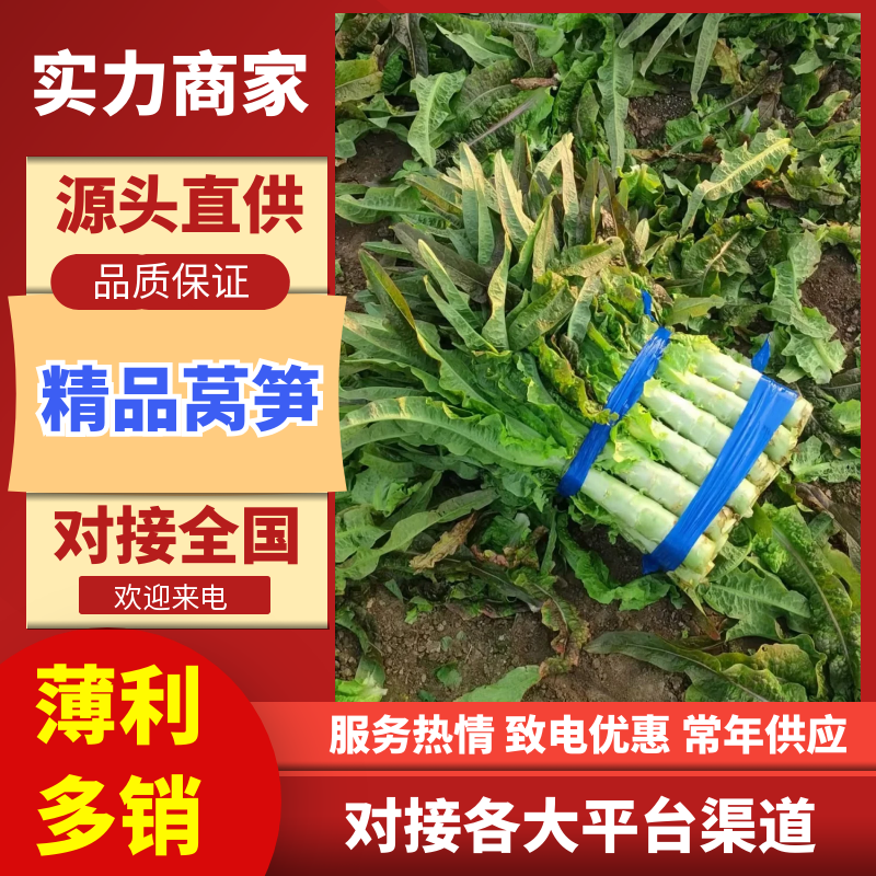 【超多人好评】青皮莴笋安徽莴苣埇桥莴笋对接全国