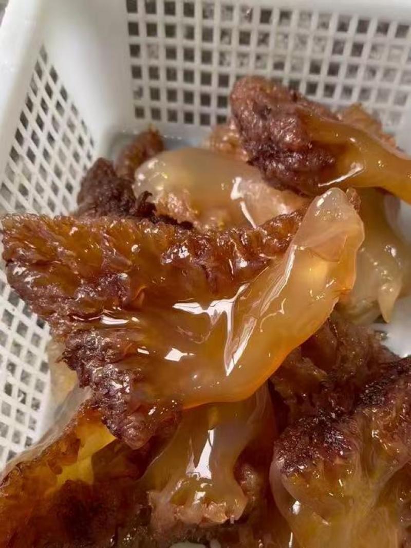 工厂直发水产一手货源海蜇/海蜇头/量大价优/欢迎下单