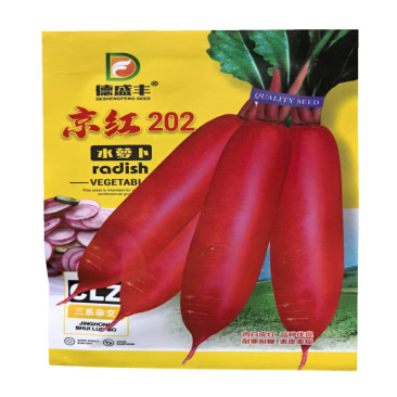 京红202水萝卜种子肉白皮红耐寒耐糠高产三系杂交萝卜种子