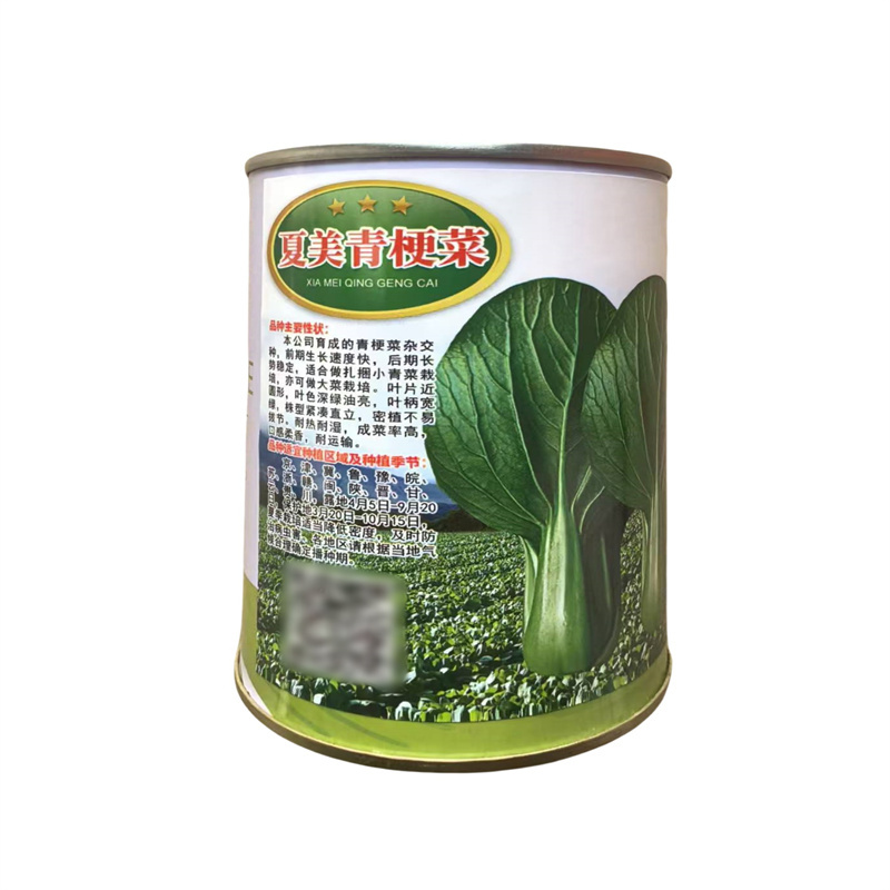 夏美青梗菜种子四季小青菜种籽深绿油亮耐热上海青鸡毛菜