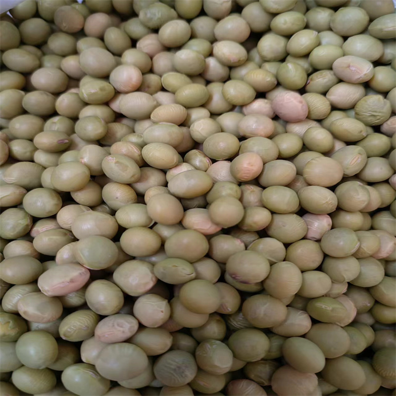 开科源5号毛豆种子高产基地毛豆种子