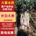 长白大葱