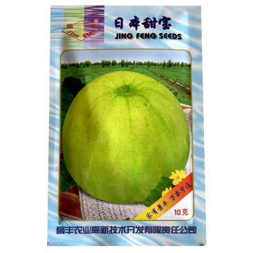 日本甜宝早熟甜瓜种子阔梨形糖度高坐果多产量高