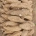 广西葛根自家种植基地量大价优保证质量