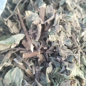 干薄荷薄荷根据需求生产各种大量有货欢迎来电咨询