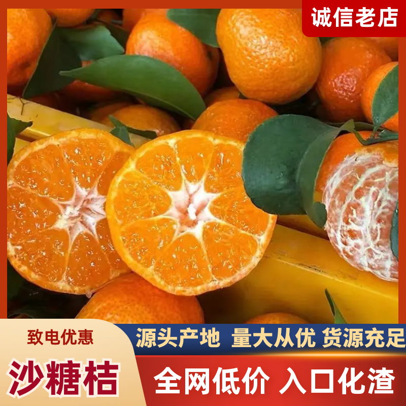 桂林优质沙糖桔，货源稳定，5千亩合作基地，专业团队代收。