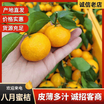 精选【八月橘】广西柑橘/现摘现发/承接整车/全国发货