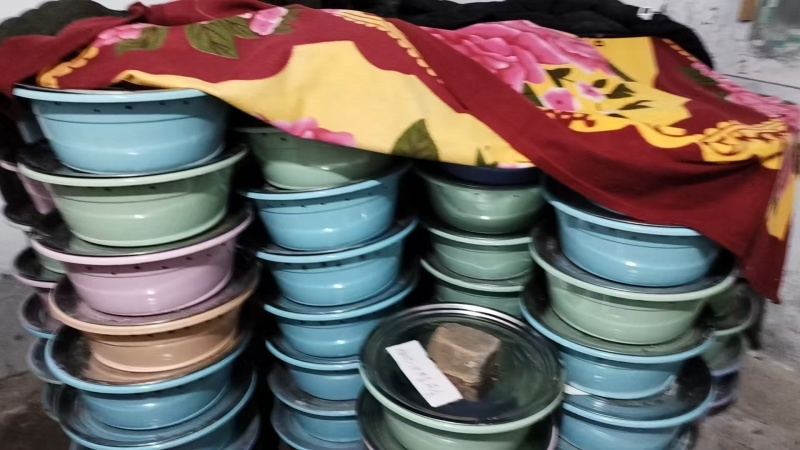 高蛋白竹笋虫/常年供应/一手货源/量大有优惠/需要联系