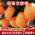 脐橙纽荷尔脐橙橙子产地直销量大从优可视频看货对接全国