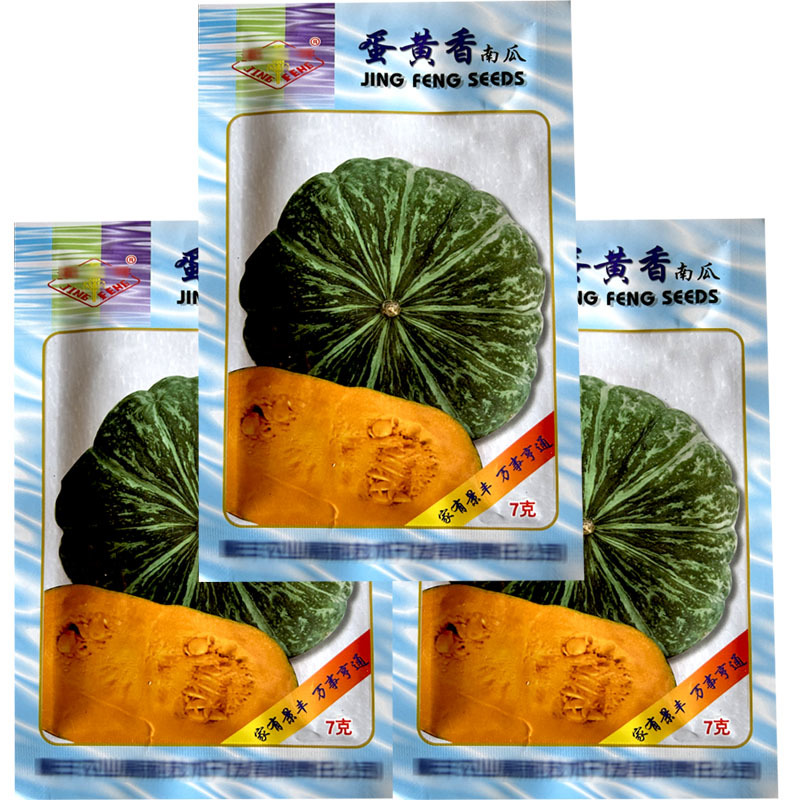 蛋黄香南瓜种子早熟甘面糯甜大果板栗南瓜谢面瓜大田用种