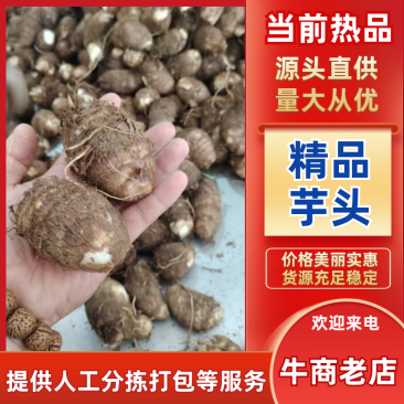 芋头毛芋头莒县芋头产地直发保质保量量大优惠