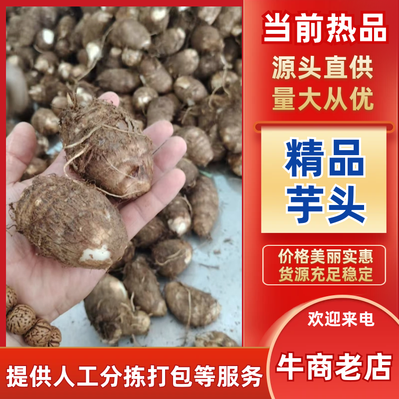 芋头毛芋头莒县芋头产地直发保质保量量大优惠