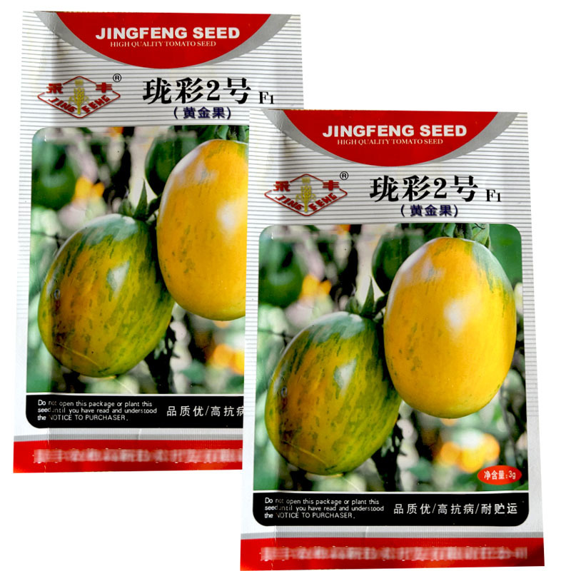 珑彩2号番茄种子黄金果沙面无限生长花皮西红柿种子