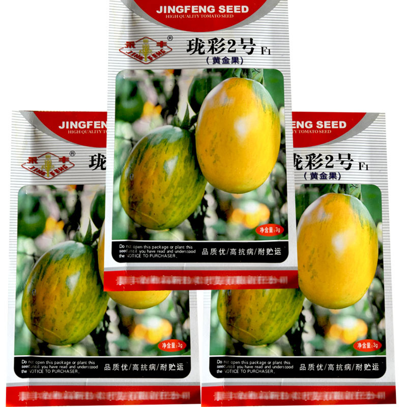 珑彩2号番茄种子黄金果沙面无限生长花皮西红柿种子