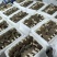 新鲜羊肚菌直销批发送礼盒包邮