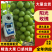 葡萄/阳光玫瑰/种植基地直供/对接批发市场采购代办代收