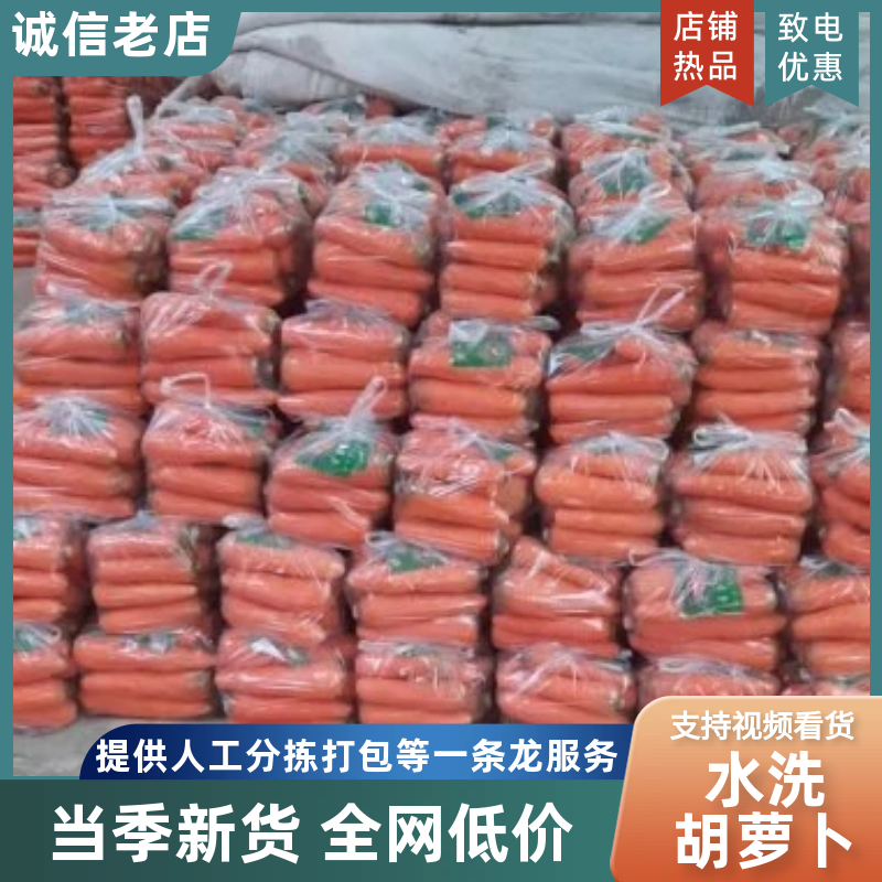 正在大量上市，水洗红萝卜，可以冷藏，走市厂，