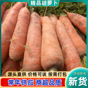三红七寸参胡萝卜带土2两以上15厘米以上红