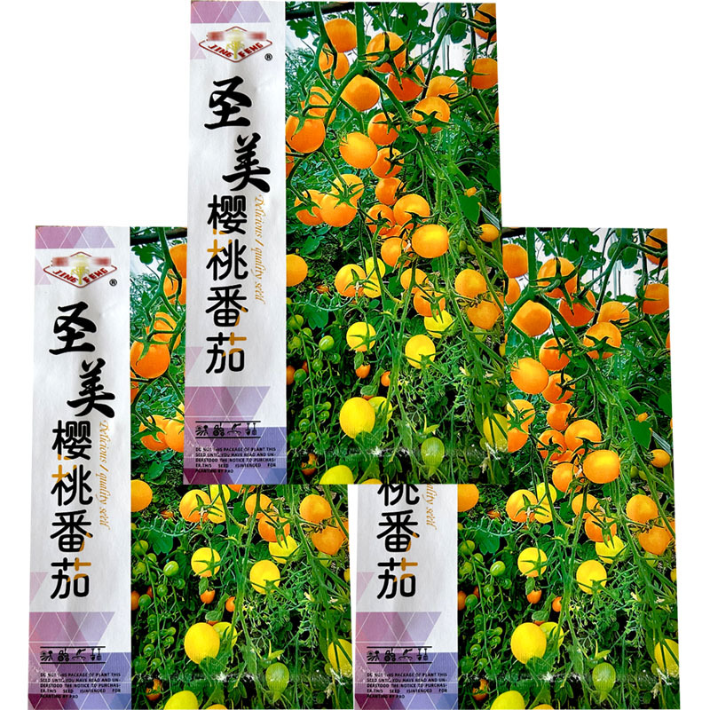 圣美樱桃番茄种子小果早熟黄色果含糖高坐果多基地型
