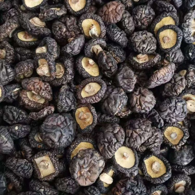 南阳黑面香菇农家肉厚干货批发2025新货炒菜煲汤优质
