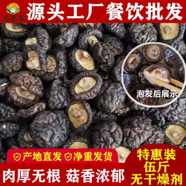 南阳黑面香菇农家肉厚干货批发2025新货炒菜煲汤优质