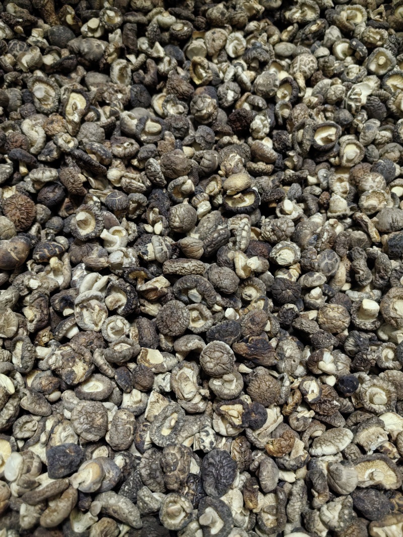 珍珠菇迷你小干香菇小个小香菇干货西峡香菇散装商用批发