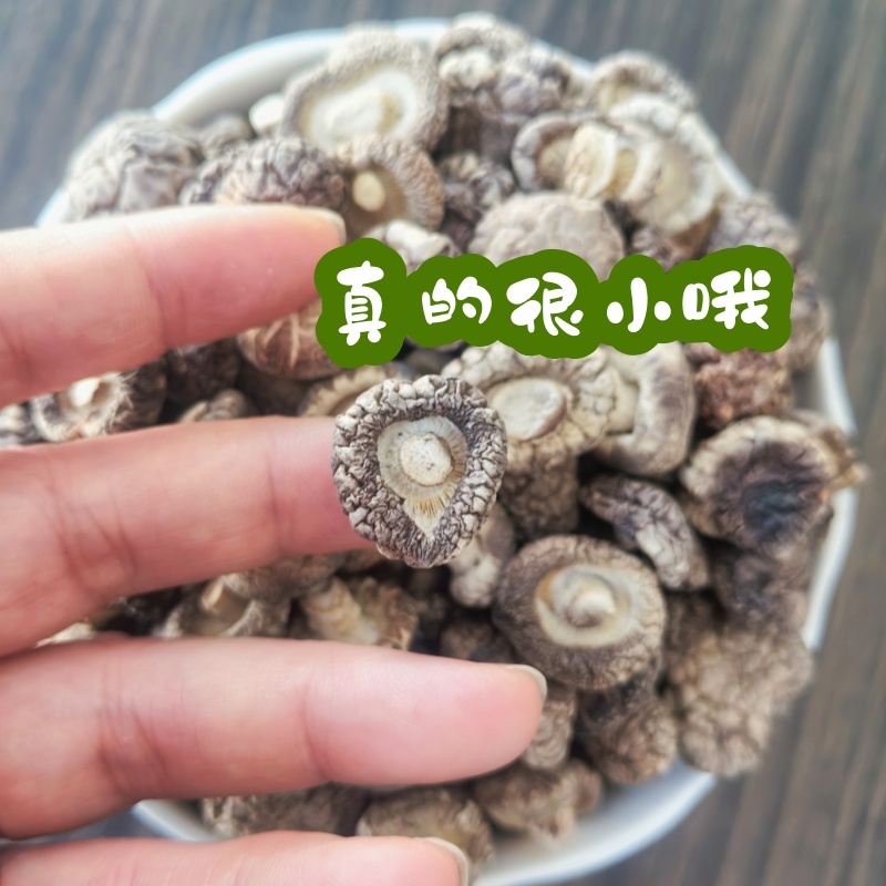 珍珠菇迷你小干香菇小个小香菇干货西峡香菇散装商用批发