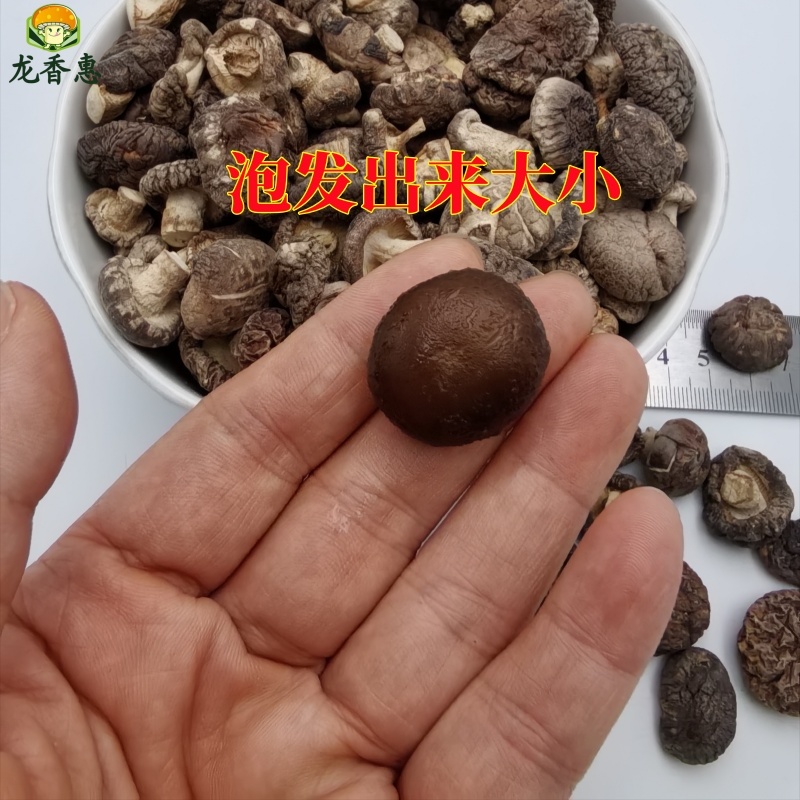 珍珠菇迷你小干香菇小个小香菇干货西峡香菇散装商用批发